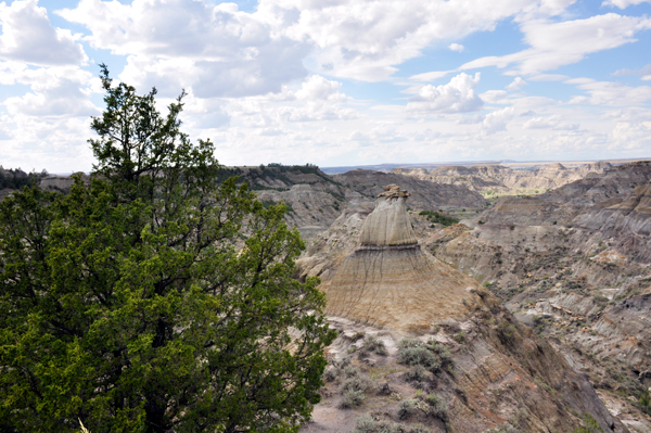 Cains Coulee Overlook in Makoshika SP